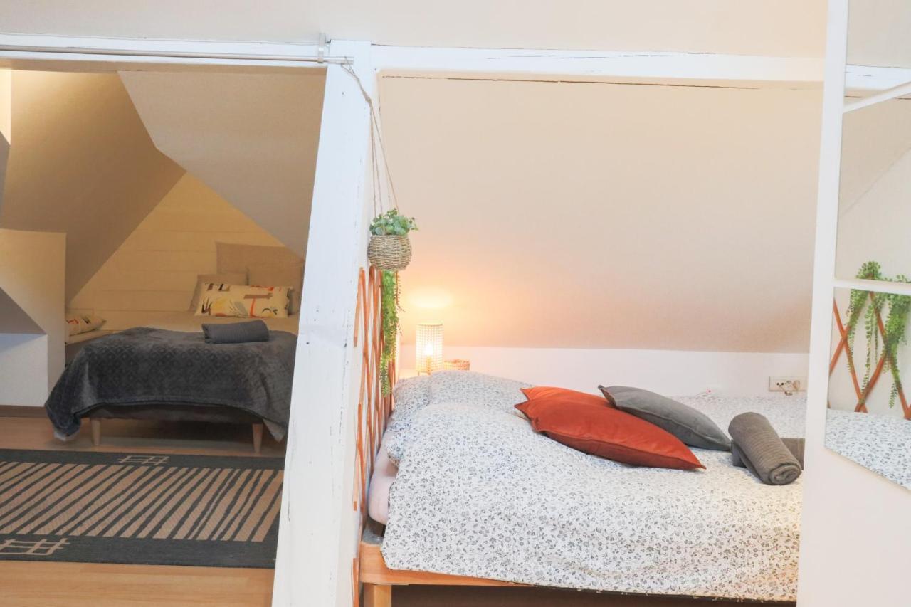 Apartamento Le Petit Loft, Mulhouse Centre Exterior foto